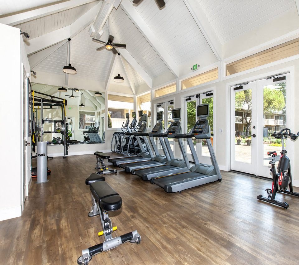Gym with treadmills/ellipticals with screens in front of windows, Weight bench, rack and mirrors